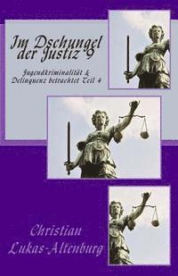 bokomslag Im Dschungel der Justiz 9: Jugendkriminalität & Delinquenz betrachtet Teil 4