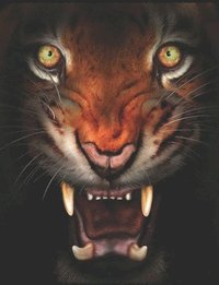 bokomslag Un Tigre En Colre