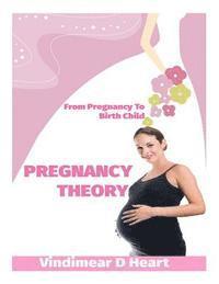 bokomslag Pregnancy Theory: From Pragnancy to Birth Child