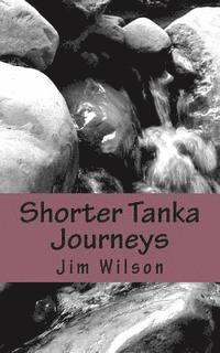 bokomslag Shorter Tanka Journeys