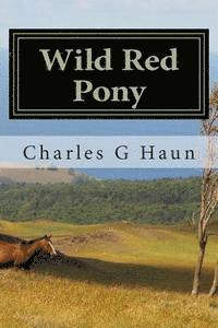 bokomslag Wild Red Pony: For Young Readers