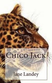bokomslag Chico Jack
