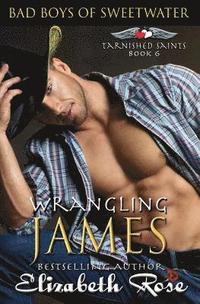 bokomslag Wrangling James