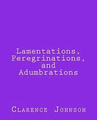 bokomslag Lamentations, Peregrinations, and Adumbrations