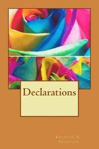 bokomslag Declarations