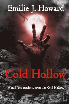 bokomslag Cold Hollow