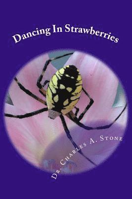 Charles A. Stone - Dancing In Strawberries, Häftad