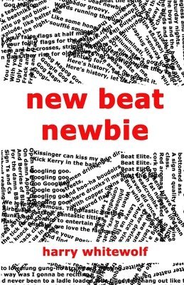 bokomslag New Beat Newbie