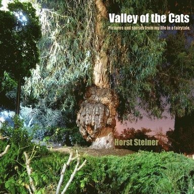 bokomslag Valley of the Cats