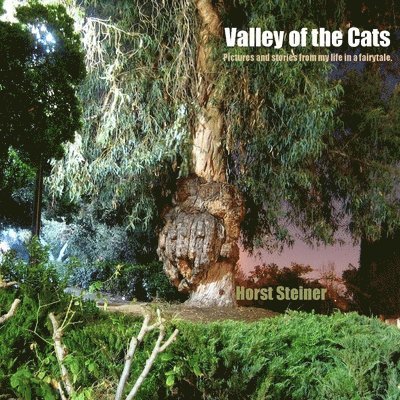 Valley of the Cats 1