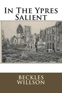 bokomslag In The Ypres Salient