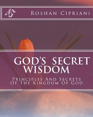 bokomslag God's Secret Wisdom: Principles And Secrets Of The Kingdom Of God