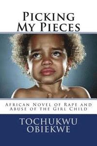 bokomslag Picking My Pieces: African Novel of Abuse of A girl Child