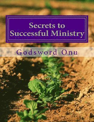 bokomslag Secrets to Successful Ministry: How to Succeed and Perform Satisfactorily In the Ministry