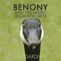 Benony and His Family of Canada Geese 1