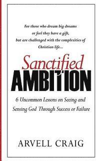 bokomslag Sanctified Ambition: 6 Uncommon Lessons on Seeing and Sensing God Through Success or Failure