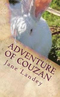 bokomslag Adventure of Couzan: Chinese Version