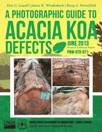 bokomslag A Photographic Guide to Acacia koa Defects