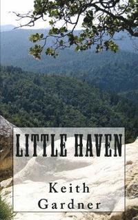 bokomslag Little Haven