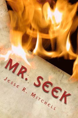 Mr. Seek 1