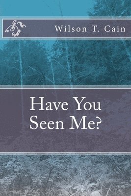 bokomslag Have You Seen Me?