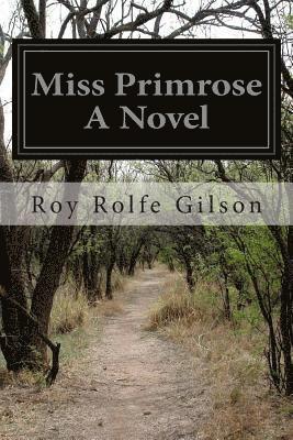 bokomslag Miss Primrose A Novel