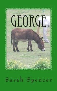 bokomslag George