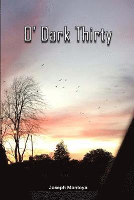 Joseph F. Montoya, Theodore R. Montoya - O' Dark Thirty, Häftad. Tillgänglighet: Lägg i varukorg