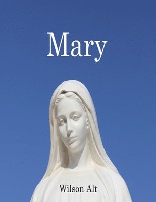 bokomslag Mary