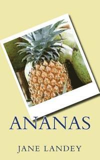 bokomslag Ananas