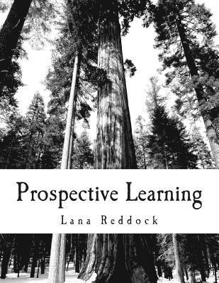 Robert a. Reddock, Lana T. Reddock M. Ed - Prospective Learning: Application Functionalities, Häftad