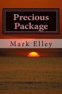 bokomslag Precious Package: A John Doyle Mystery