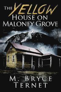 bokomslag The Yellow House On Maloney Grove