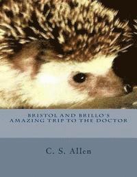 Bristol and Brillo's Amazing Trip to the Doctor: The Hedgehog Sisters 1