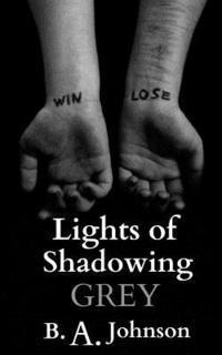 bokomslag Lights of Shadowing Grey