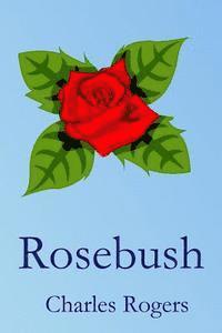 Rosebush 1