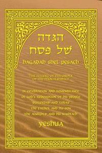 bokomslag Haggadah Shel Pesach: The Telling of the Pesach Service