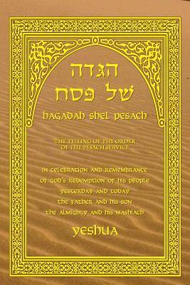 bokomslag Haggadah Shel Pesach: The Telling of the Pesach Service