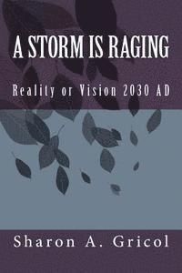 bokomslag A Storm is Raging: Reality or Vision 2030 AD