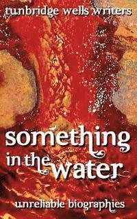 bokomslag Something in the Water: Unreliable Biographies