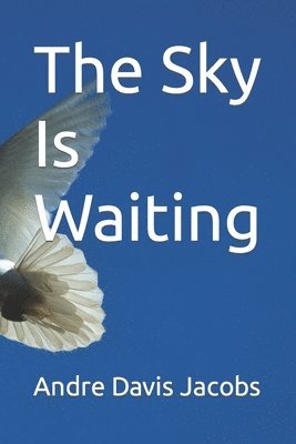 bokomslag Sky Is Waiting
