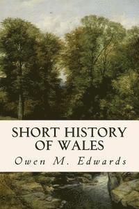 bokomslag Short History of Wales