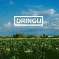 Dringu, an homage 1