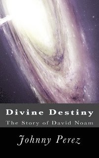 bokomslag Divine Destiny (The story of David Noam)