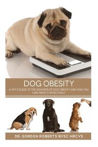 bokomslag Dog Obesity: A vet's guide to the dangers of dog obesity and how you can treat it effectvely