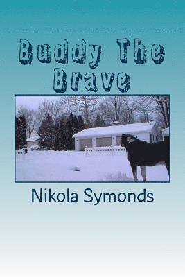 Buddy The Brave 1