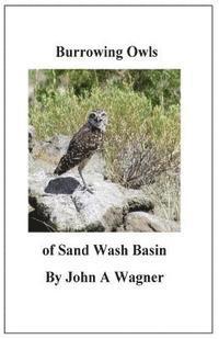 John A. Wagner - Burrowing Owls of Sand Wash Basin, Häftad