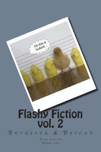 bokomslag Flashy Fiction vol.2: Bethesda & Beyond