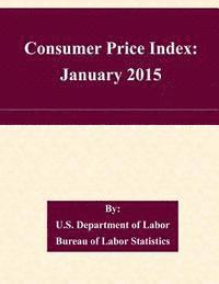 bokomslag Consumer Price Index: January 2015