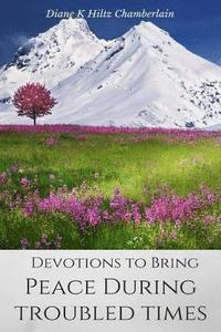 bokomslag Devotions to Bring Peace During Troubled Times